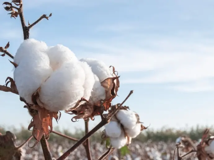 vetement ecoresponsable